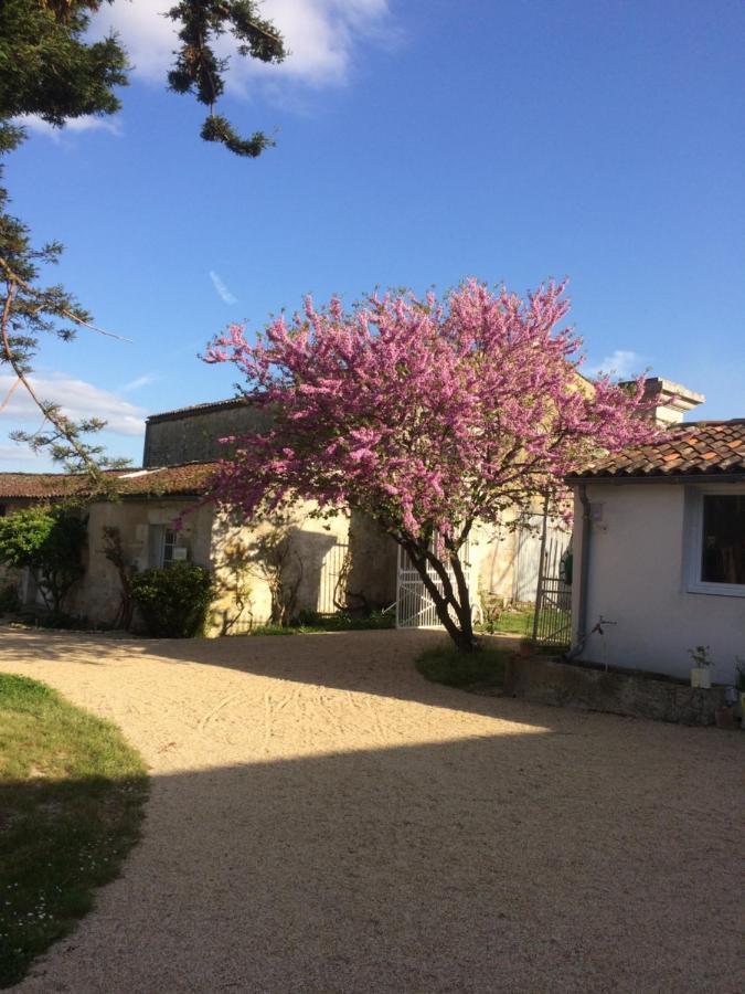 ChaniersLe Logis Du Plessis住宿加早餐旅馆 外观 照片